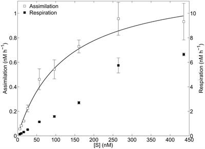 Light-Enhanced Microbial Organic Carbon Yield